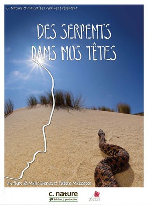 Des serpents dans nos têtes