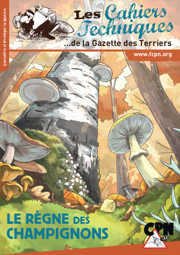 Le règne des champignons