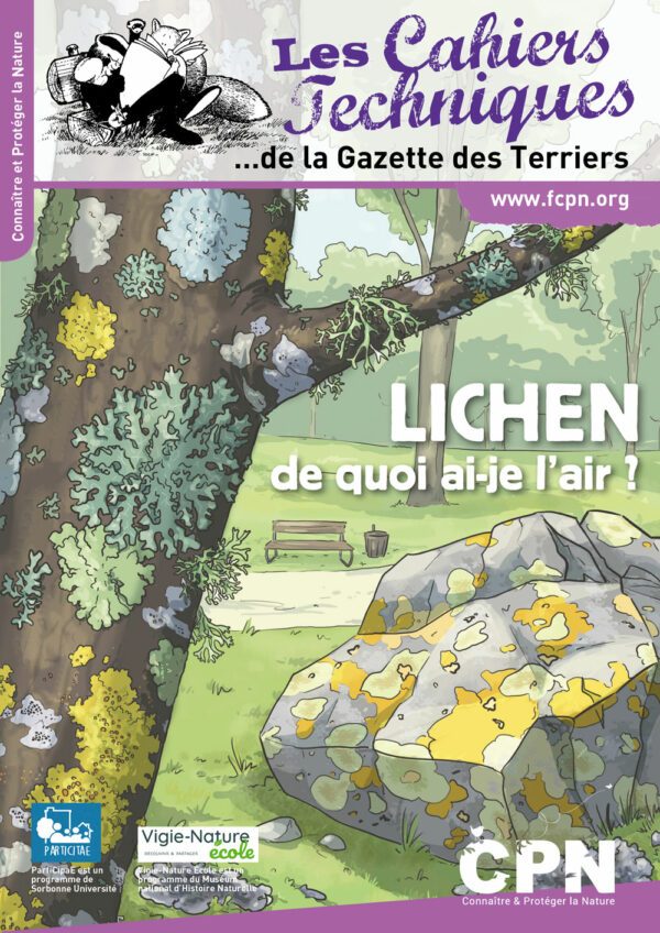 Lichen de quoi ai-je l’air ?