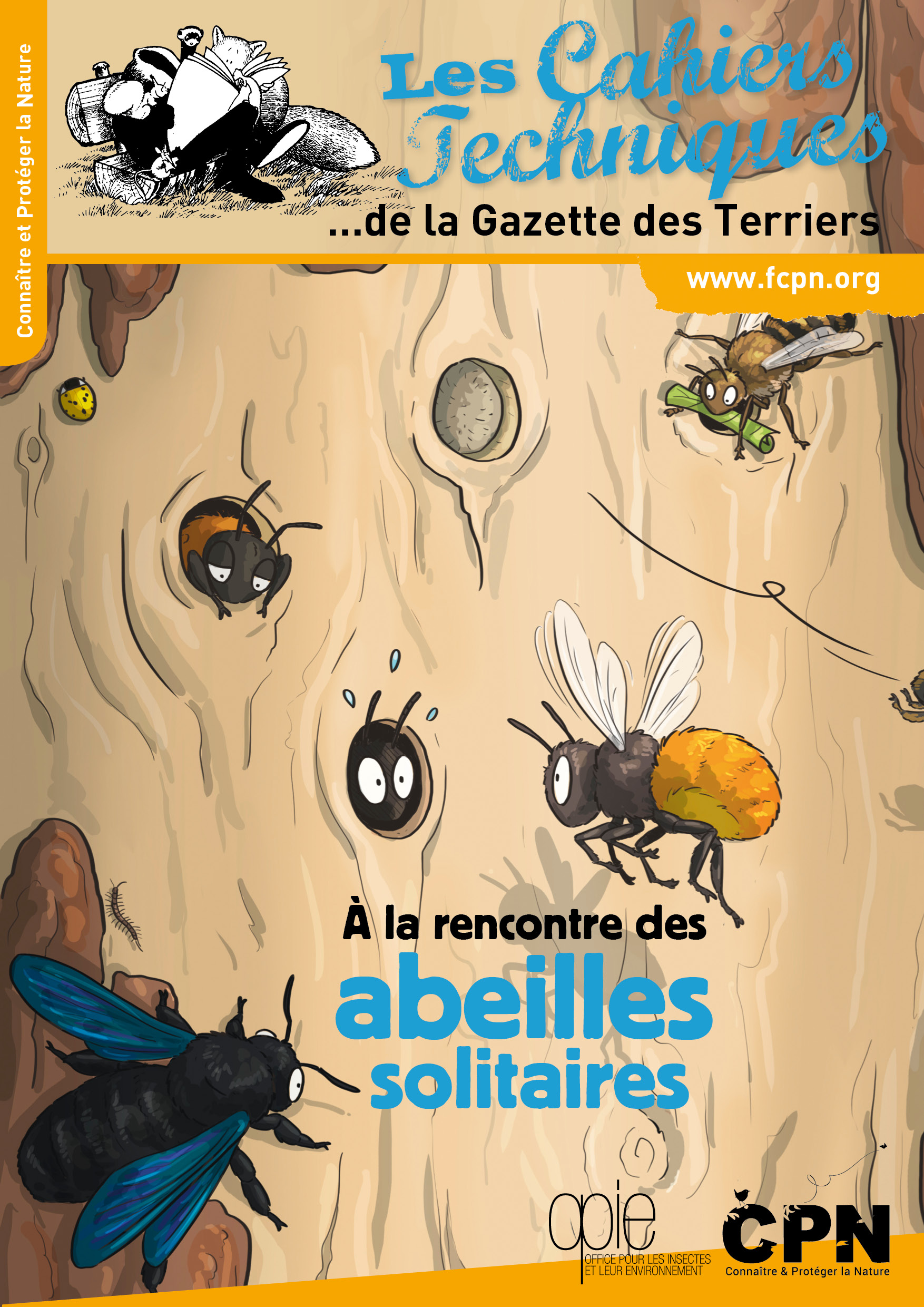 À la rencontre des abeilles solitaires