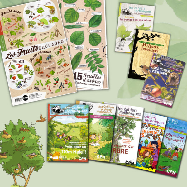 Collection Les arbres