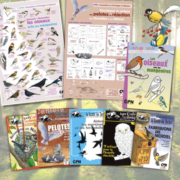 Collection Les oiseaux