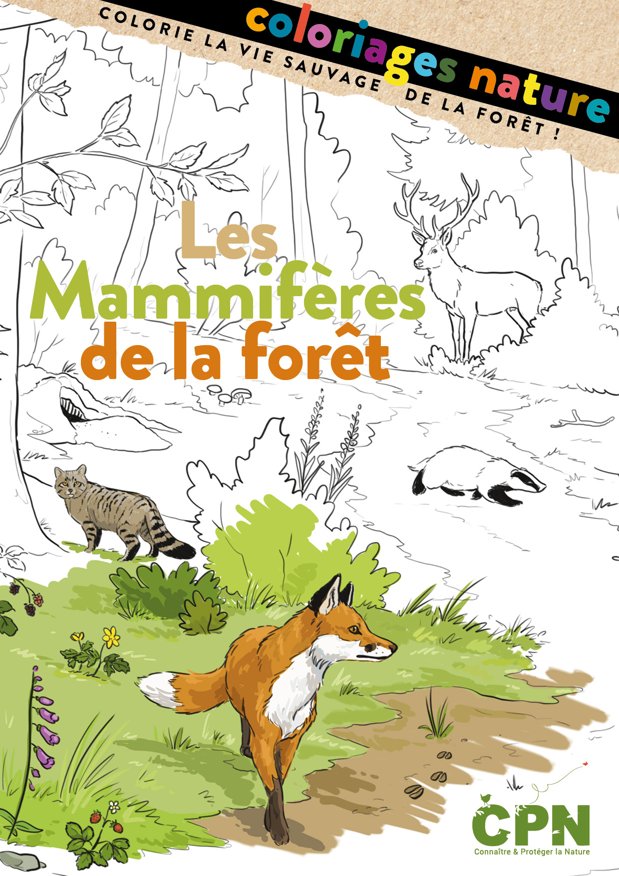 Coloriage nature « Les mammifères de la forêt »