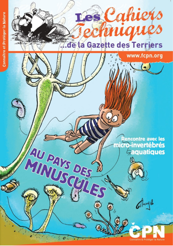 Au pays des minuscules