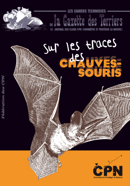 Sur les traces des chauves-souris