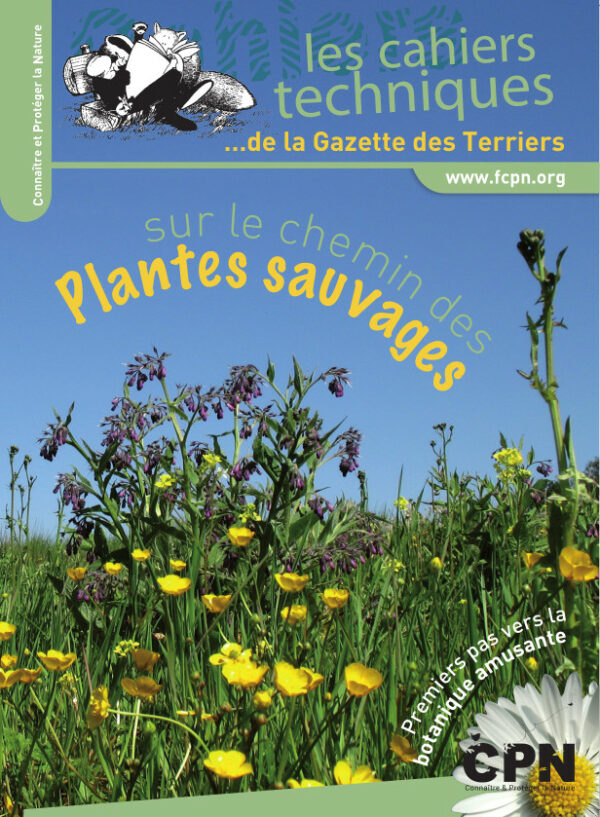 Sur le chemin des Plantes sauvages