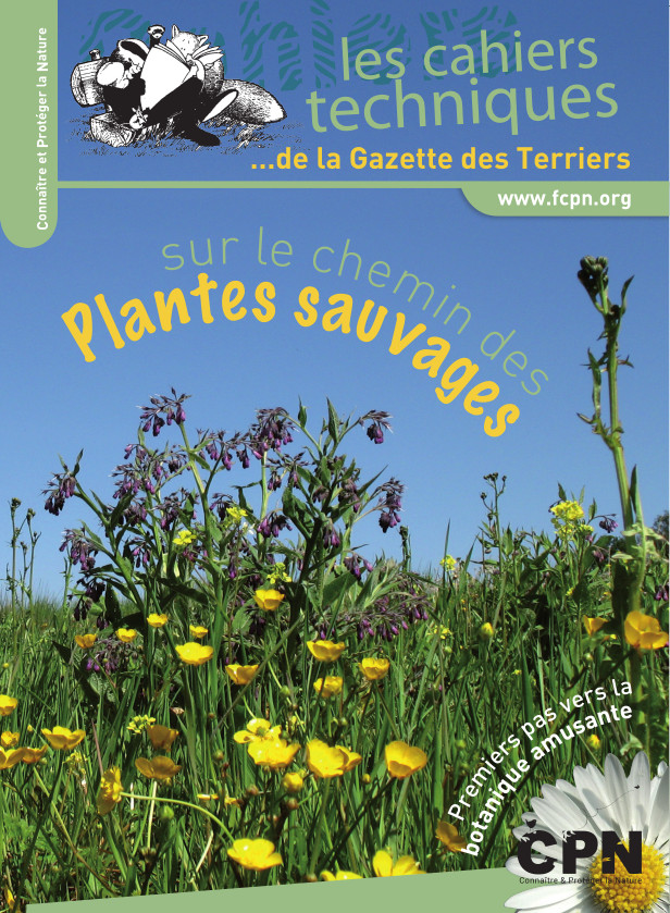 Sur le chemin des Plantes sauvages