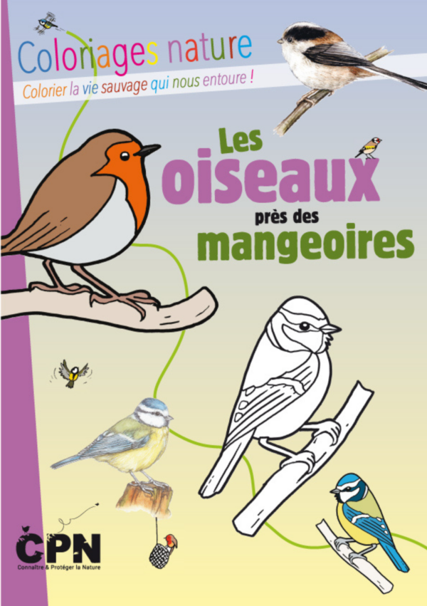 Cahier de coloriage oiseaux près des mangeoires