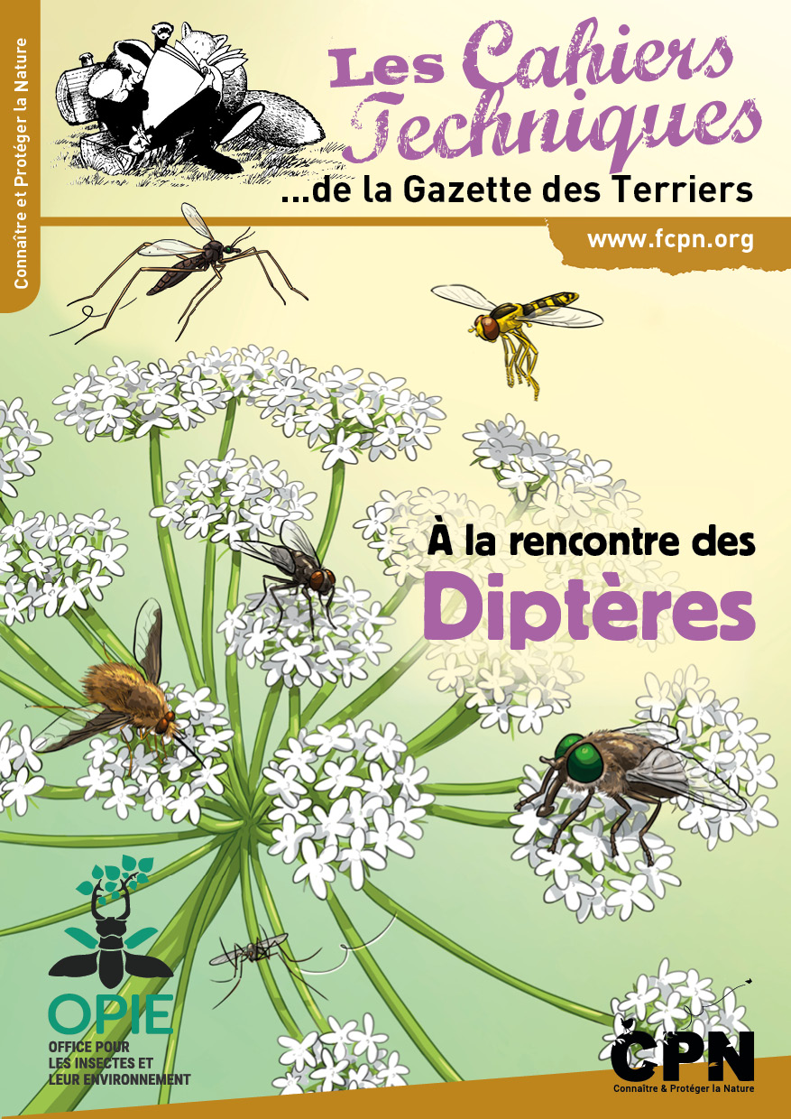 À la rencontre des Diptères