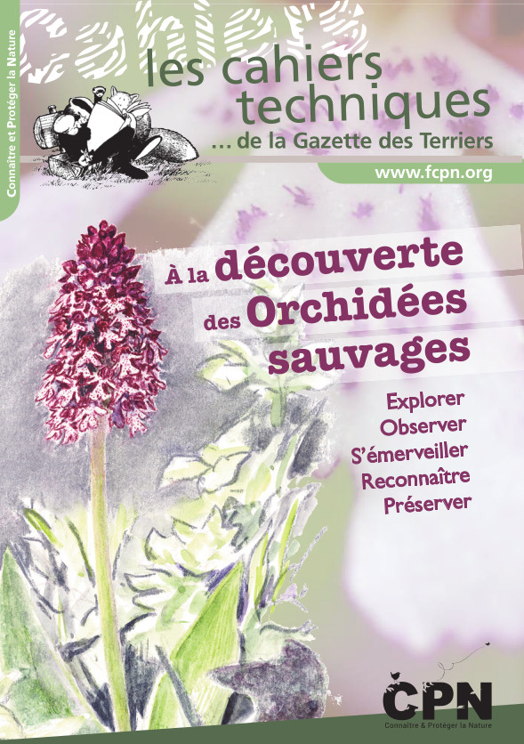 À la découverte des Orchidées sauvages