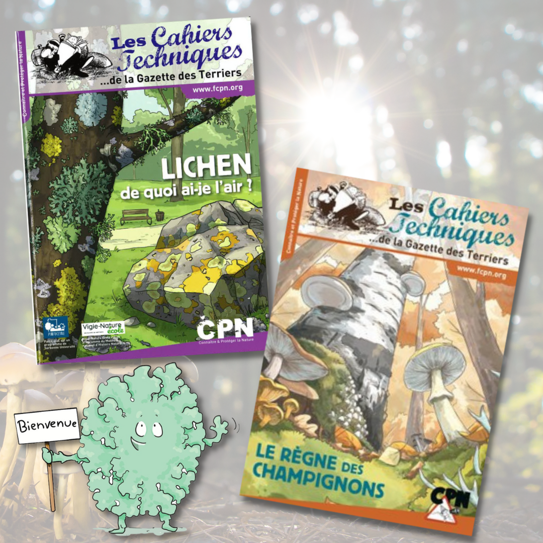 lot 1 - spores et cie