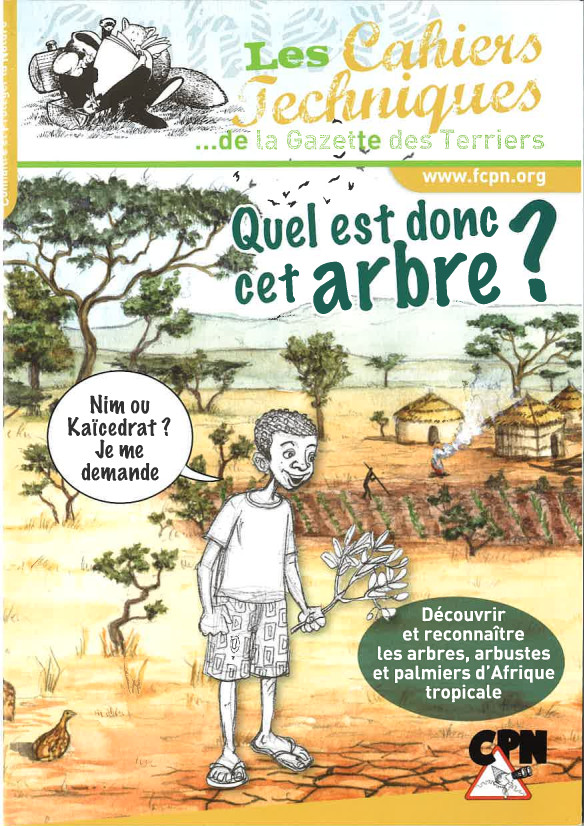 Quel est donc cet arbre ? Spécial Afrique