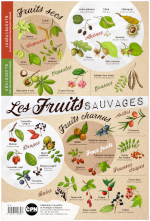 Affiche CPN « Les fruits sauvages »