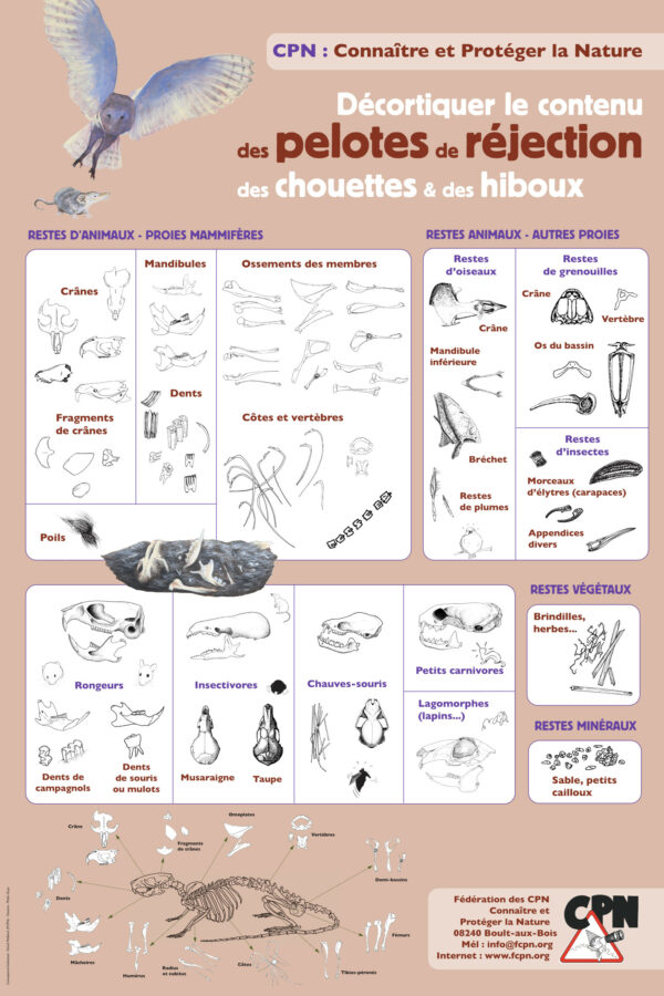 Affiche CPN « Pelotes »