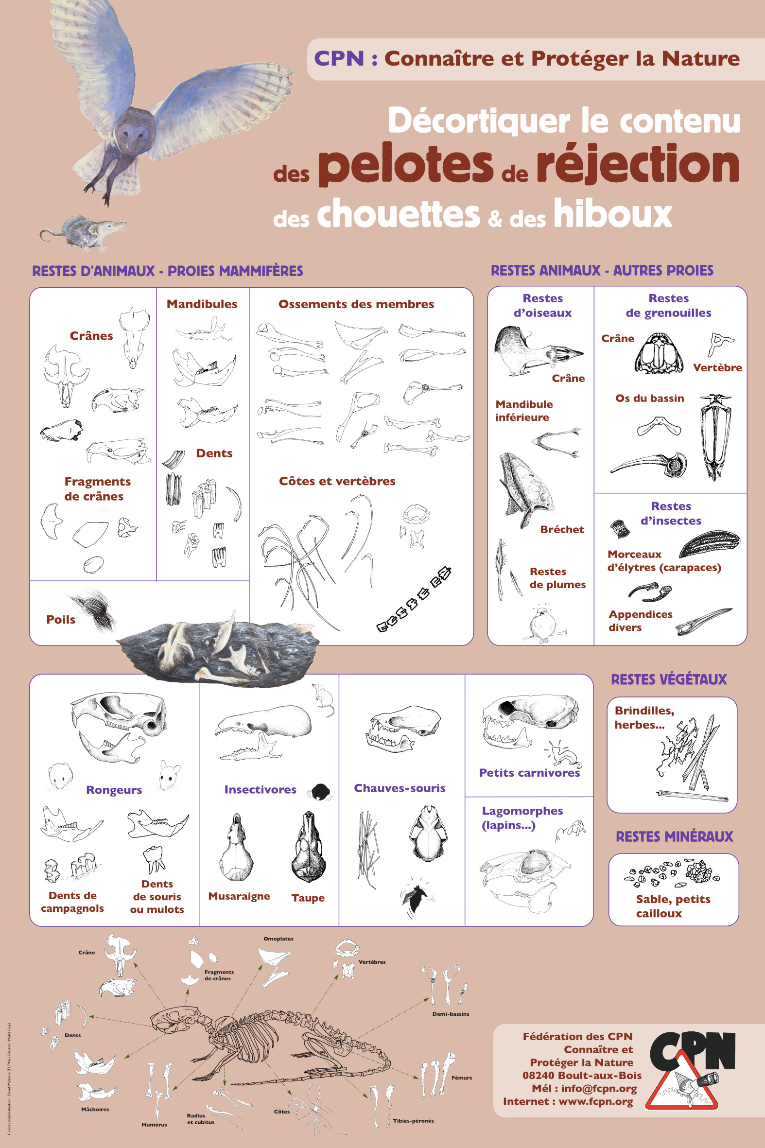 Affiche CPN « Pelotes »