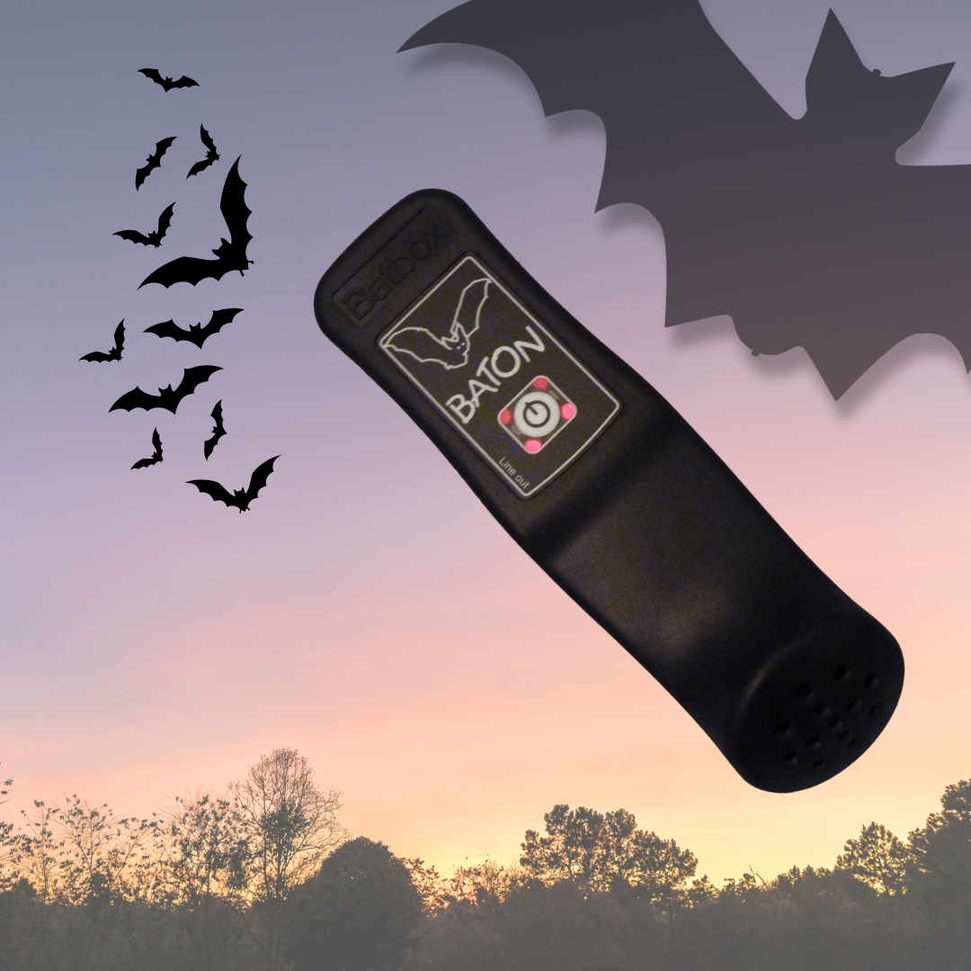 Bâton Batbox
