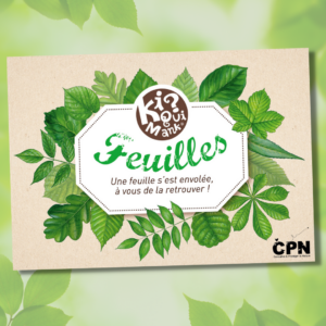 Kiquimank feuilles