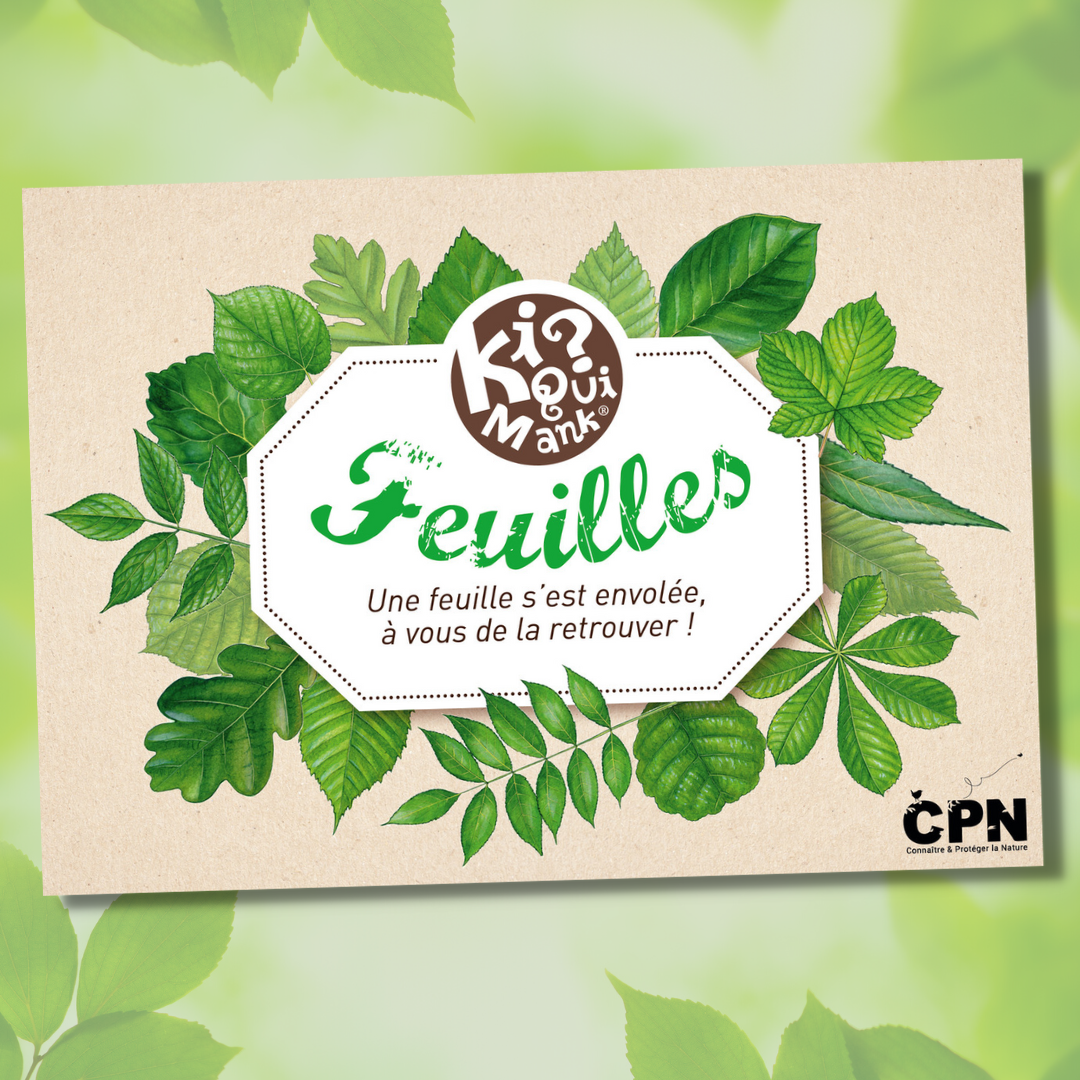 Kiquimank feuilles