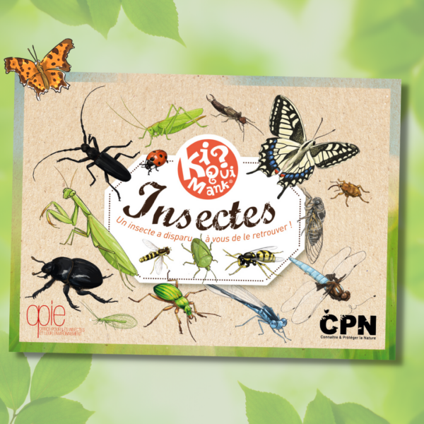 Kiquimank insectes