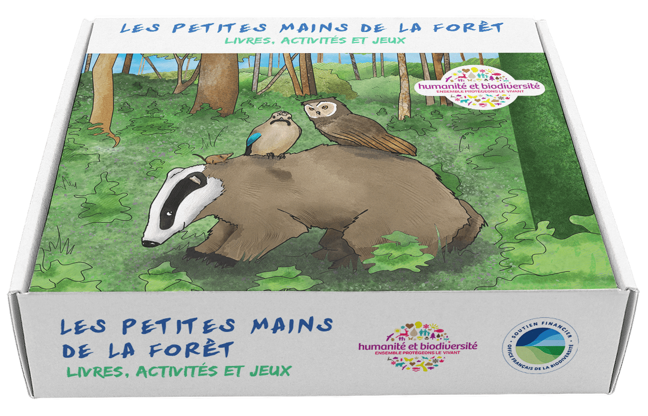 Les petites mains de la forêt