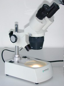 Loupe binoculaire TP5 20-40X