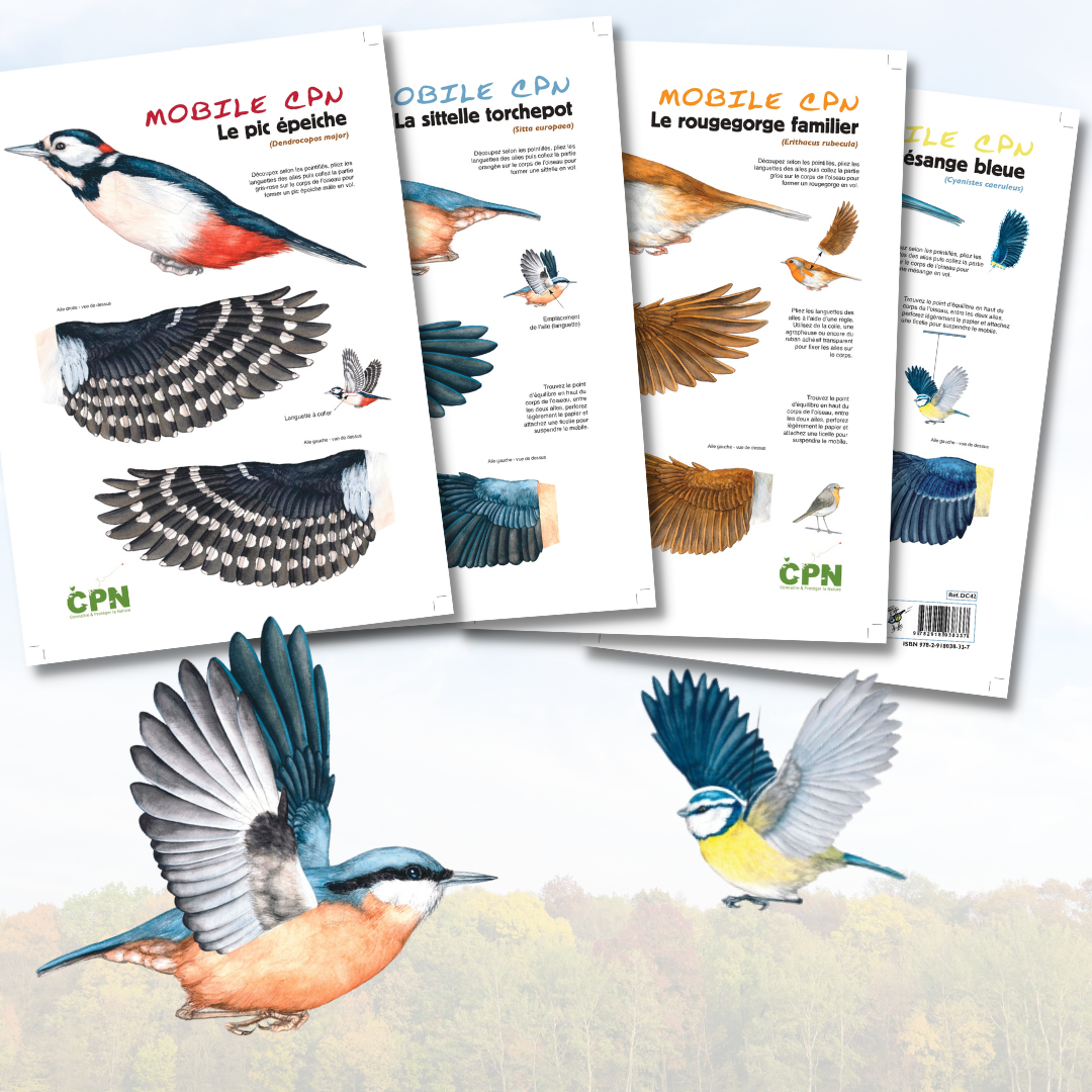 Mobile oiseaux