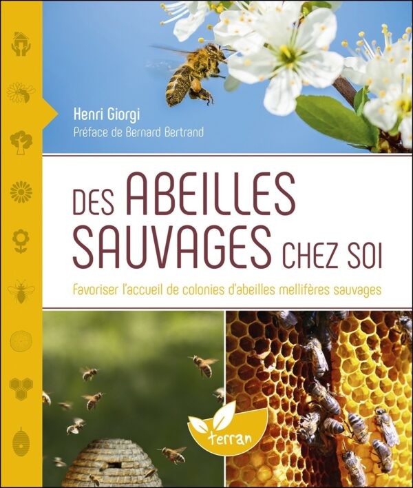 Des abeilles sauvages chez soi