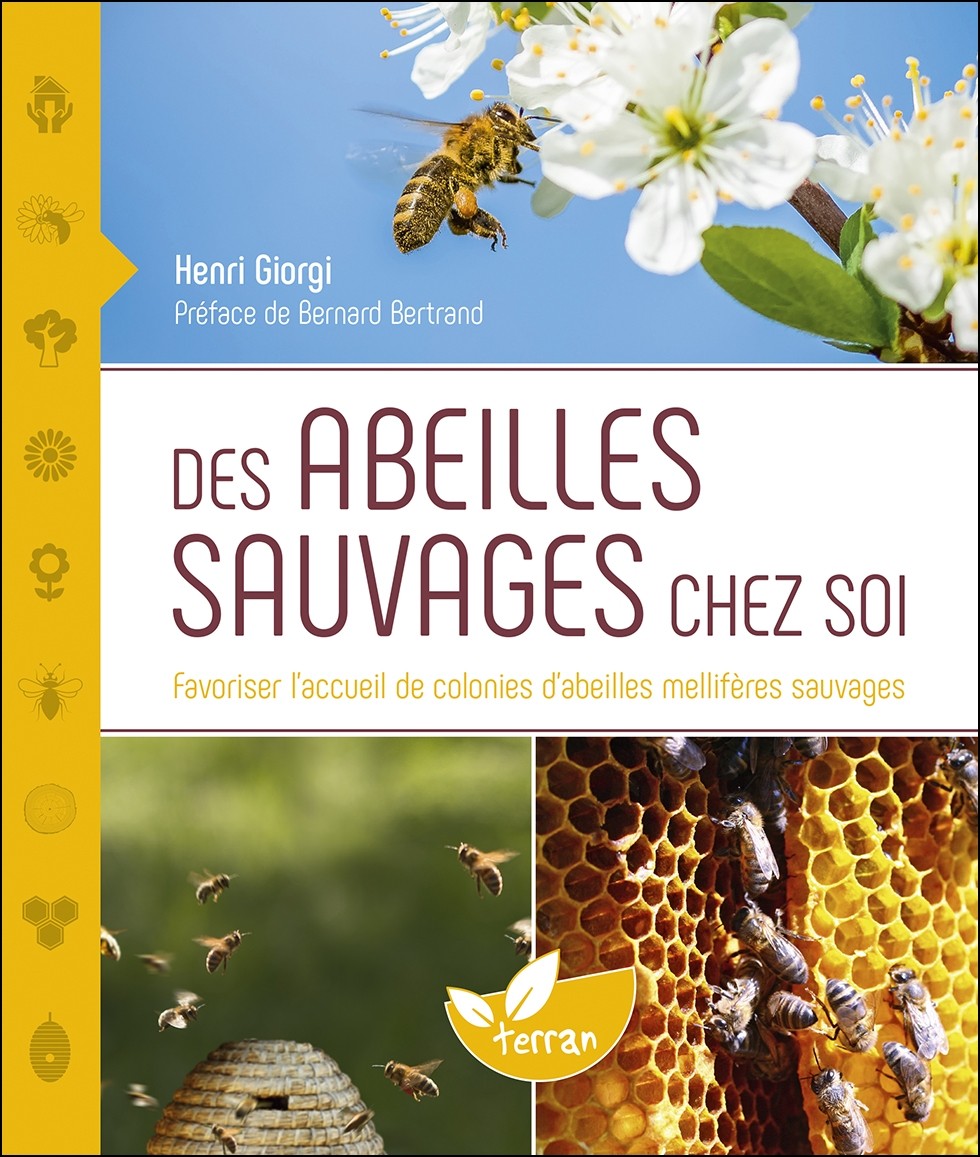 Des abeilles sauvages chez soi
