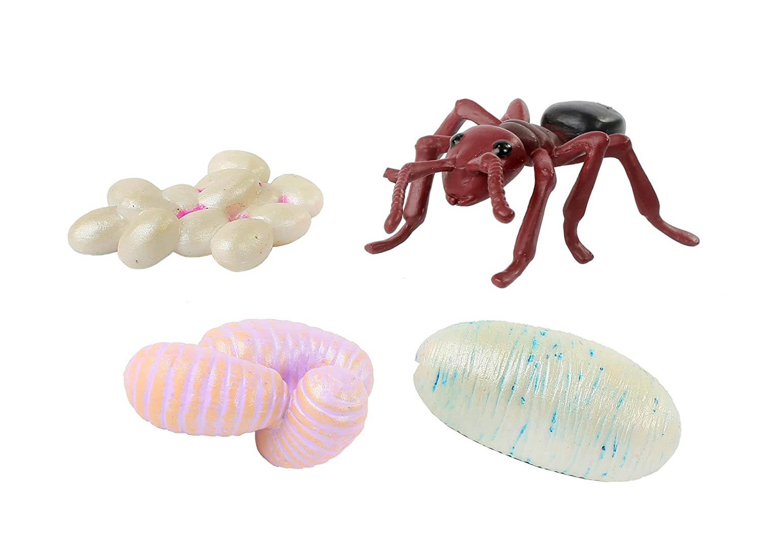 Figurines cycle de vie fourmi