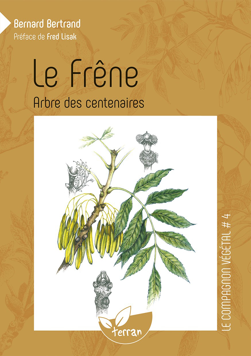 Le Frêne, arbre des centenaires