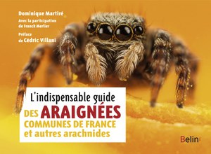 L'indispensable guide des araignées communes de France et autres arachnides