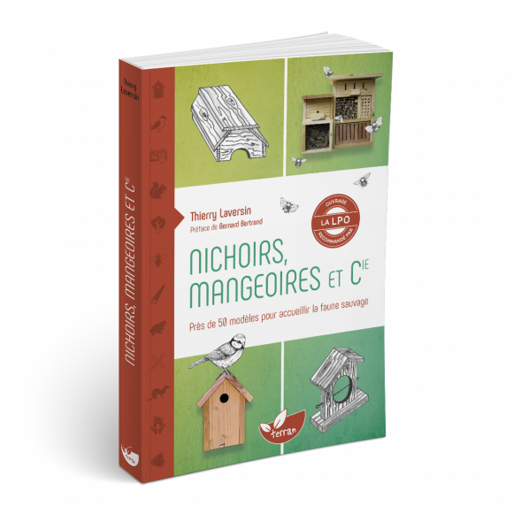 Nichoirs, mangeoires et Cie