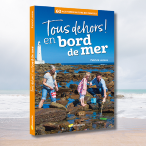 Tous dehors ! En bord de mer