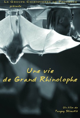 Une vie de grand rhinolophe