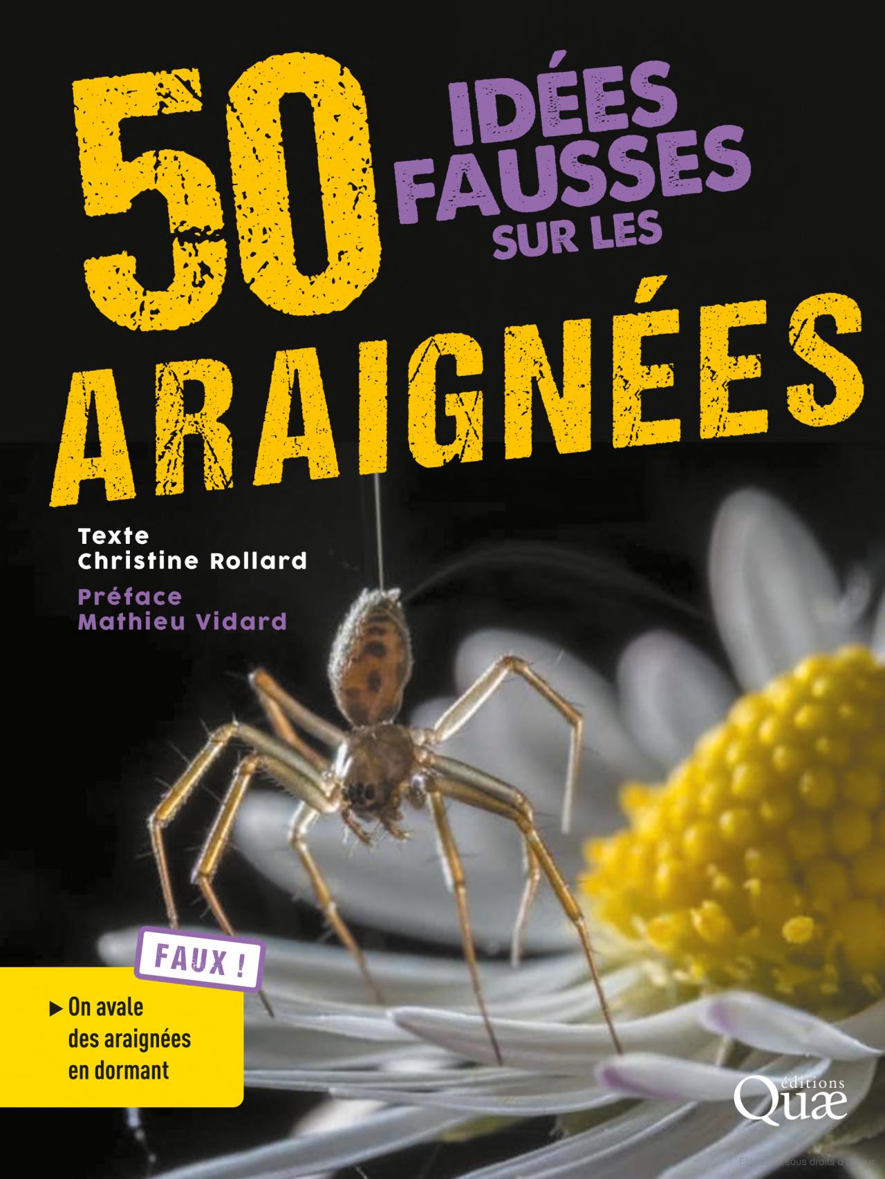 50 idées fausses sur les araignées
