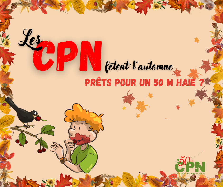 CPN fetent automne 2022