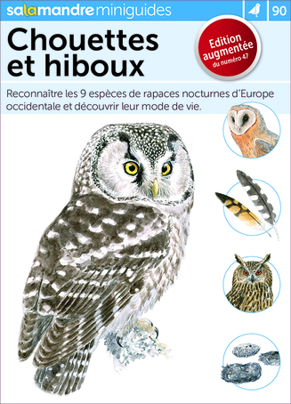 Chouettes et hiboux