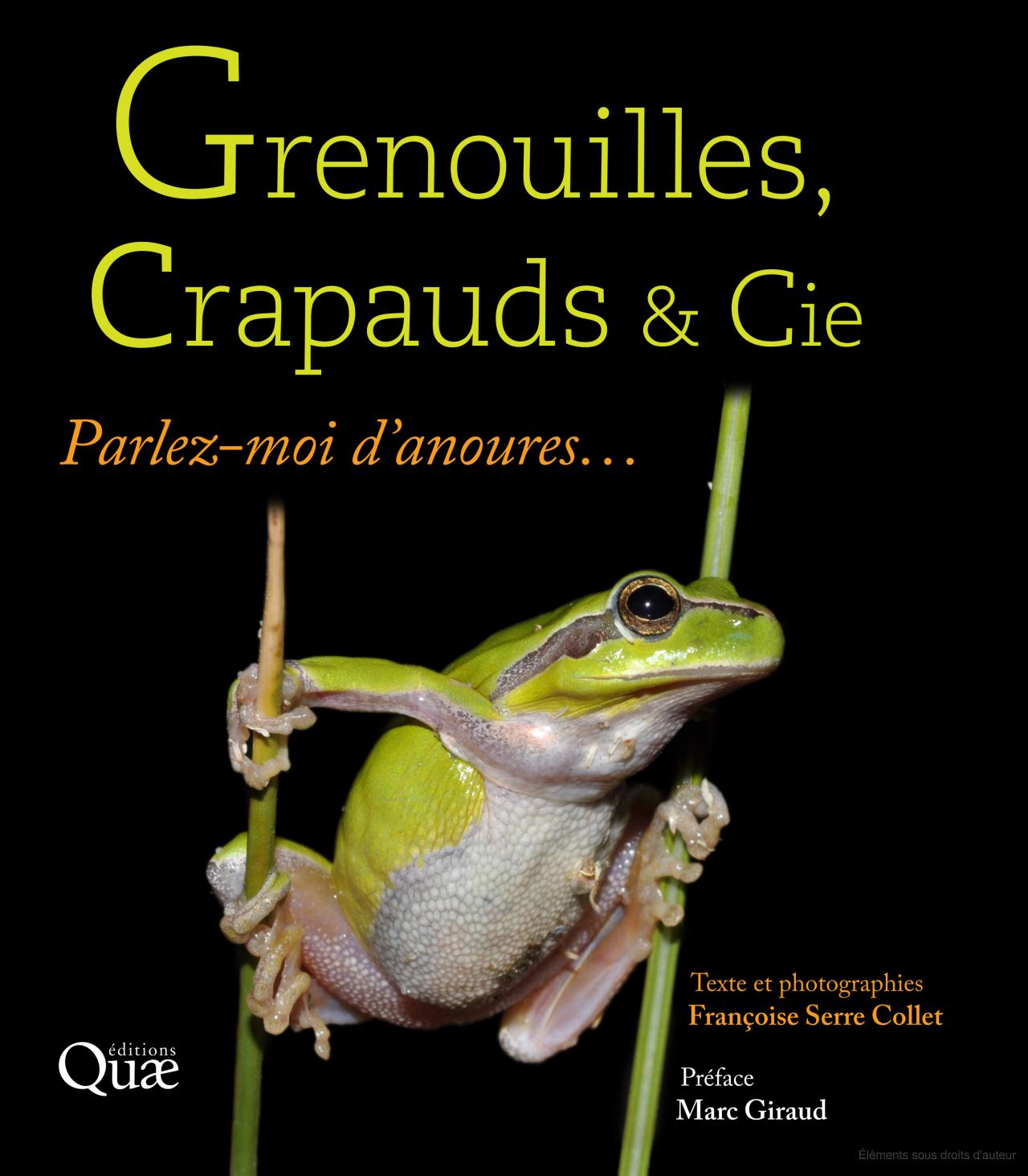 Grenouilles crapauds et cie