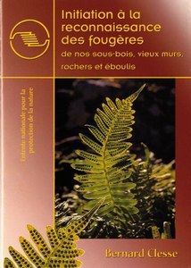 Initiation a la reconnaissance des fougeres