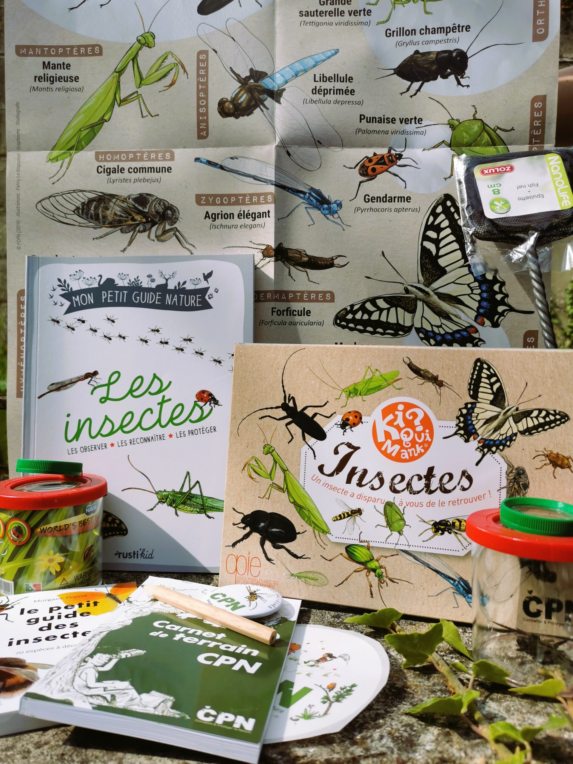 Kit je decouvre les insectes