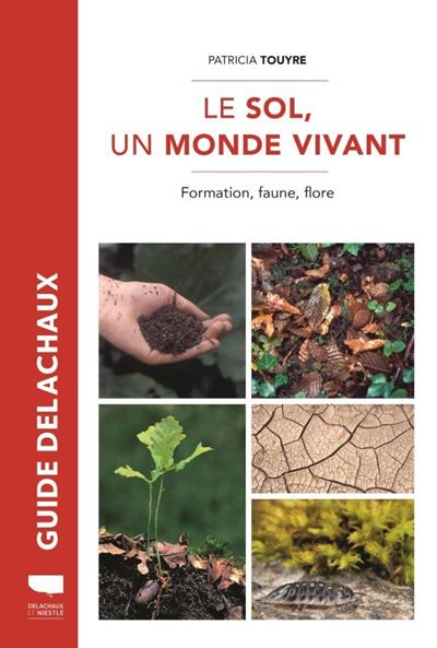 Le sol un monde vivant
