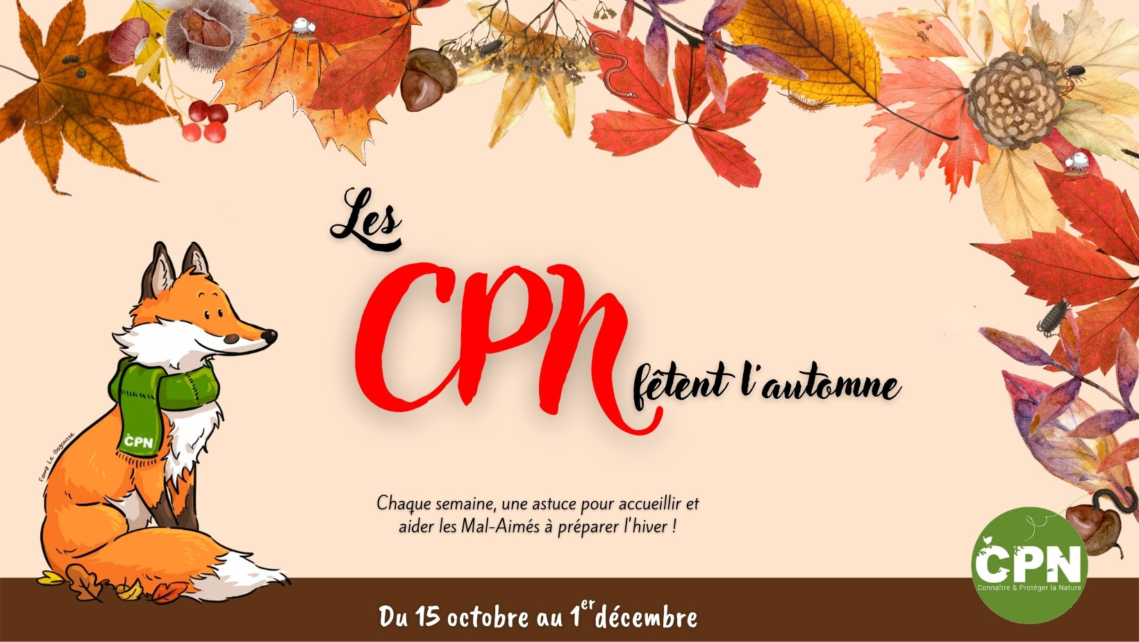 Les CPN fêtent l'automne