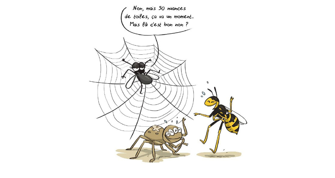 Les araignées j'adore !