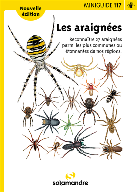 Les araignées