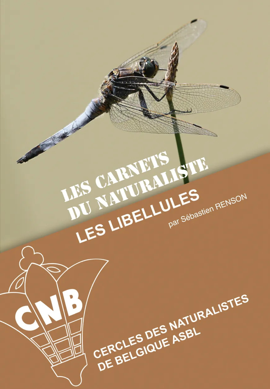 Les libellules