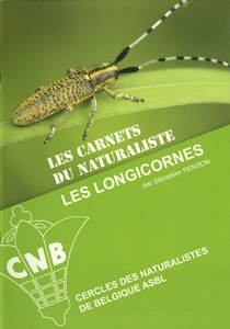 Les longicornes