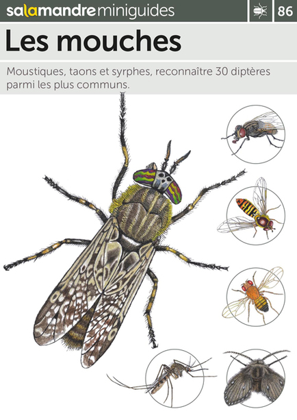 Les mouches