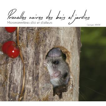 Prunelles noires des bois et jardins