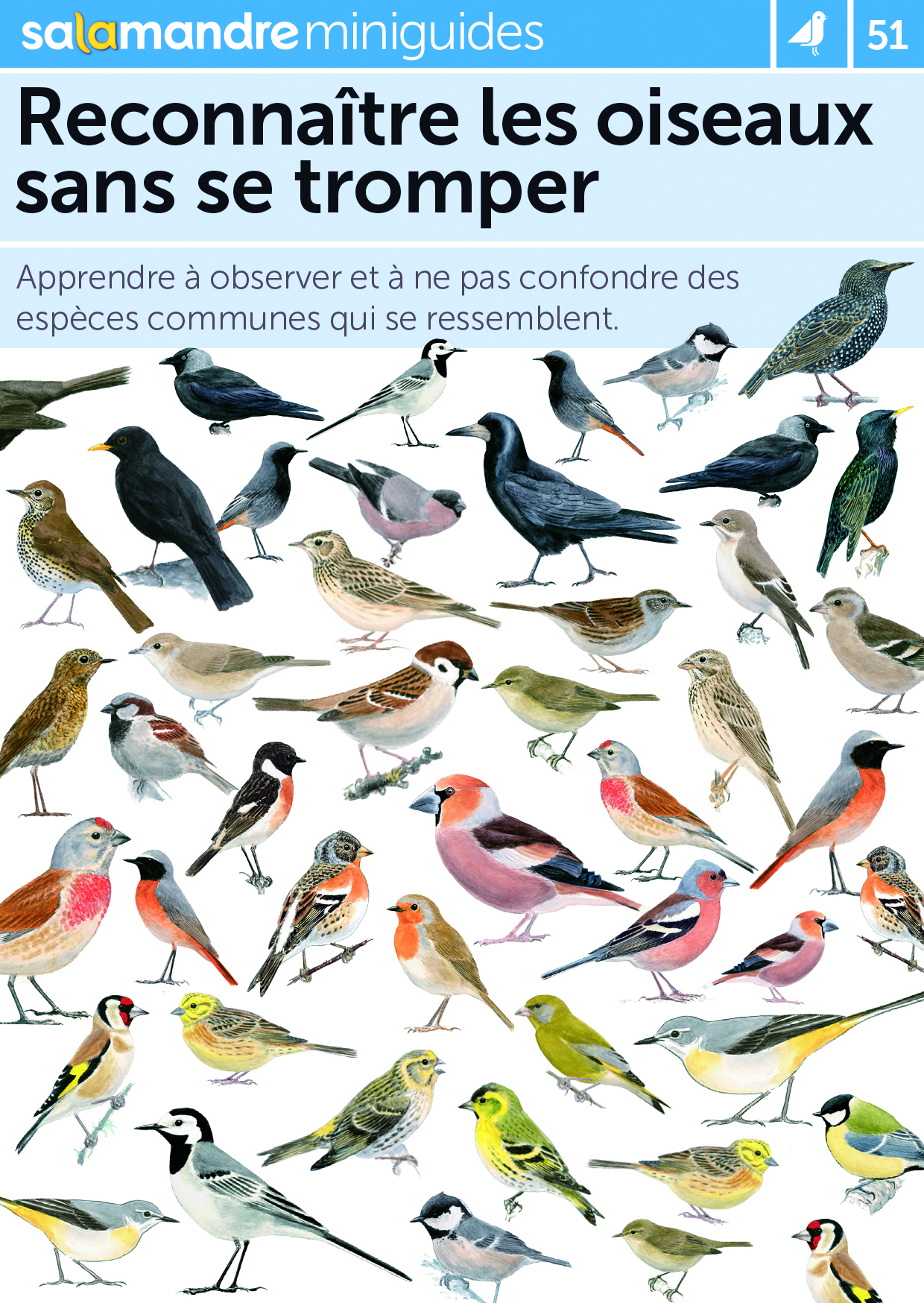 Reconnaître les oiseaux
