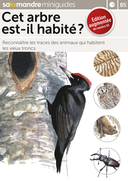 cet arbre est il habite